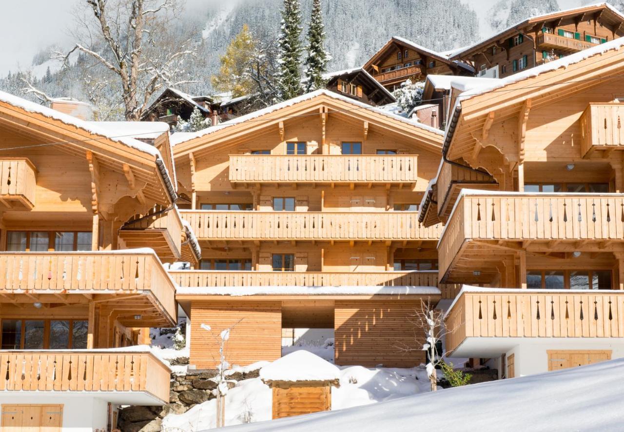 Panoramapark Soleil Chalet E Wengen Exteriér fotografie